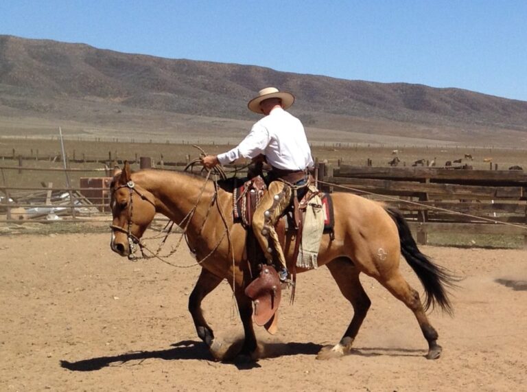 Clinics Jeff Sanders Horsemanship